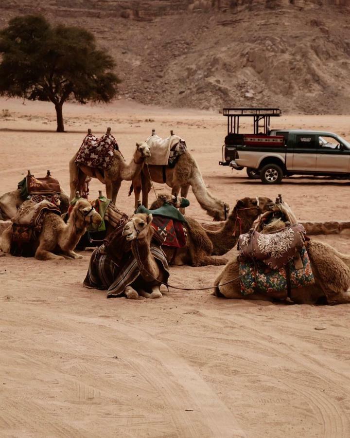 Wadi Rum Fun Time Tour'S Luaran gambar
